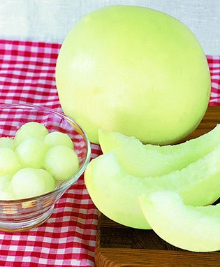 Honeydew Cantaloupe